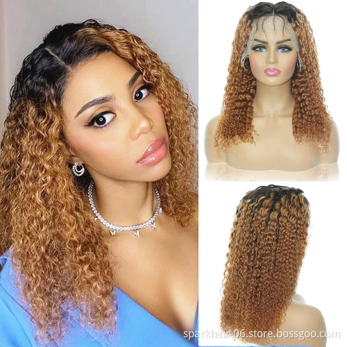 High Quality Brazilian Glueless Transparent Hd 13X6 Frontal Human Hair Curly 360 Full Lace Front Wigs